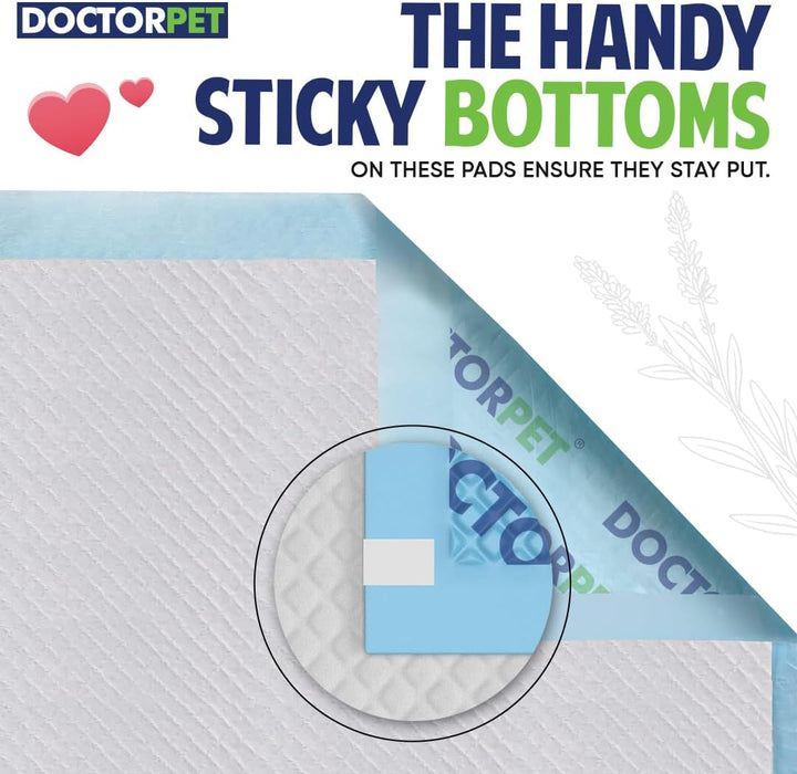  Doctor Pet Training Pads-66