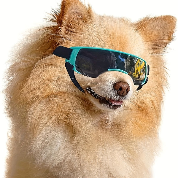 Dog Goggles for Small Breed - Golden Color-1