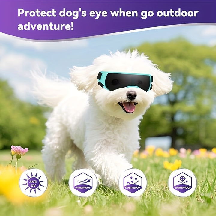 Dog Goggles for Small Breed - Golden Color-4
