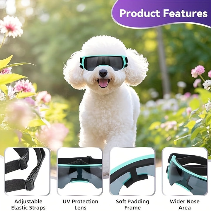 Dog Goggles for Small Breed - Golden Color-5