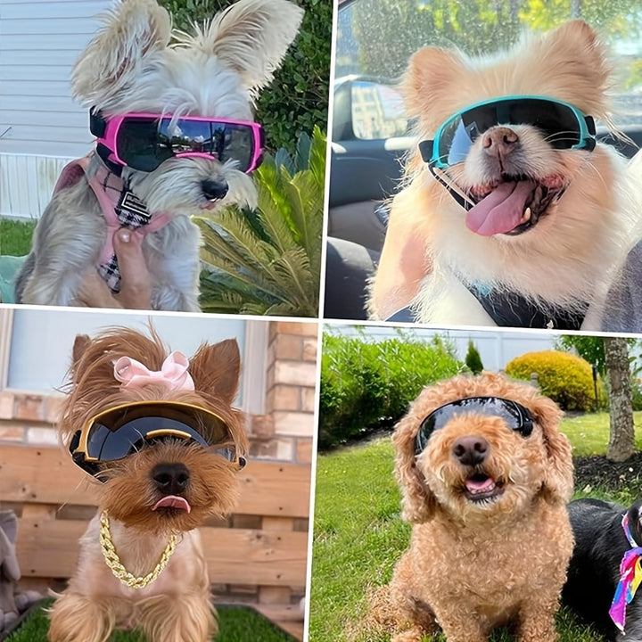 Dog Goggles for Small Breed - Golden Color-6