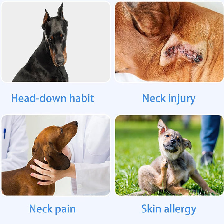 Dog Neck Brace/Support-Medium-4