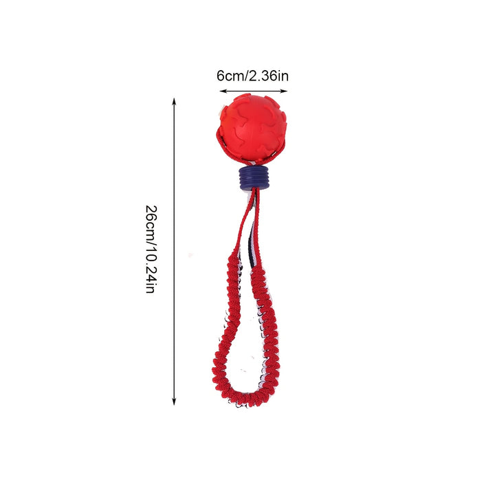 Dog Training Ball with Rope-2