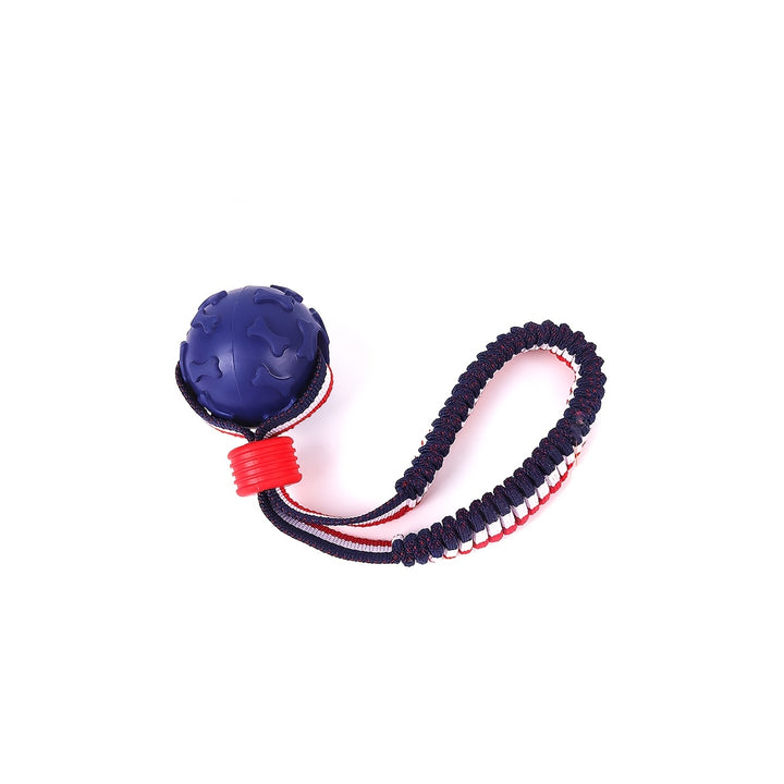 Dog Training Ball with Rope-4