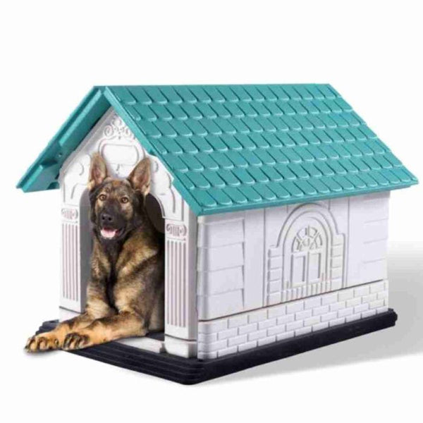 Dog house