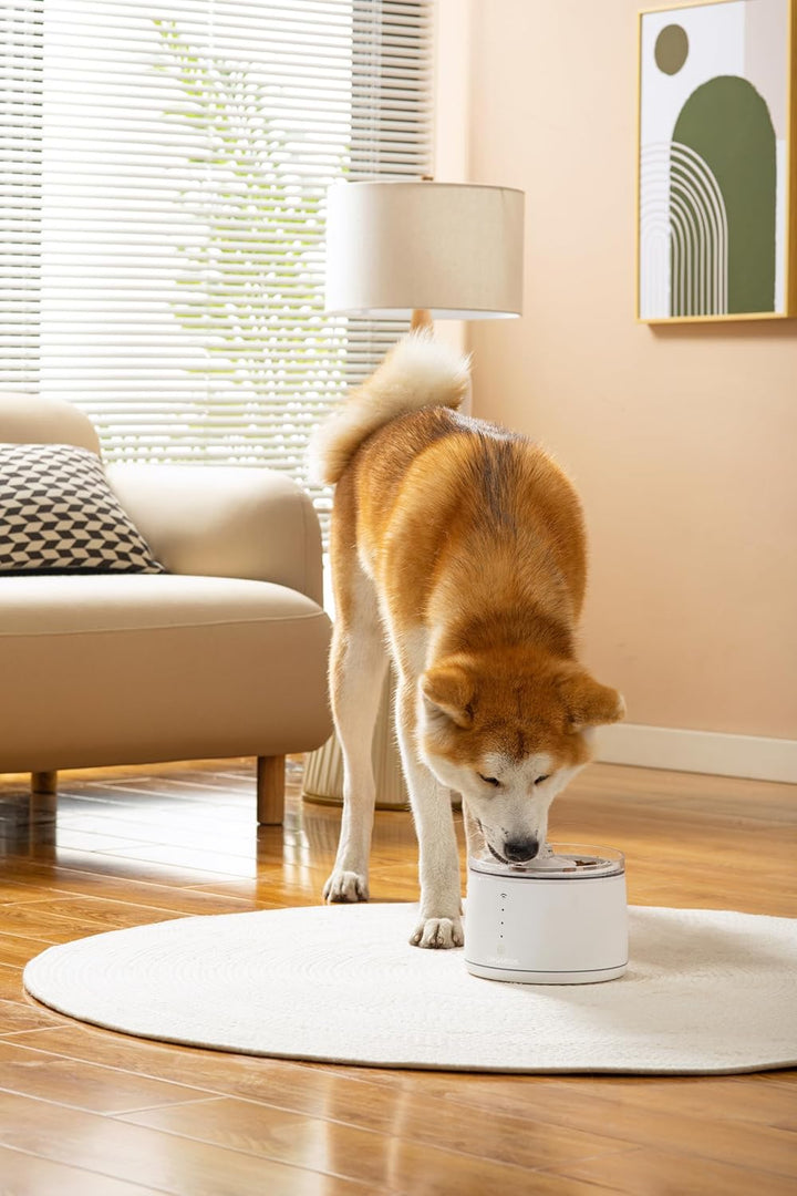 Dogness Smart Water Feeder For Pets-1
