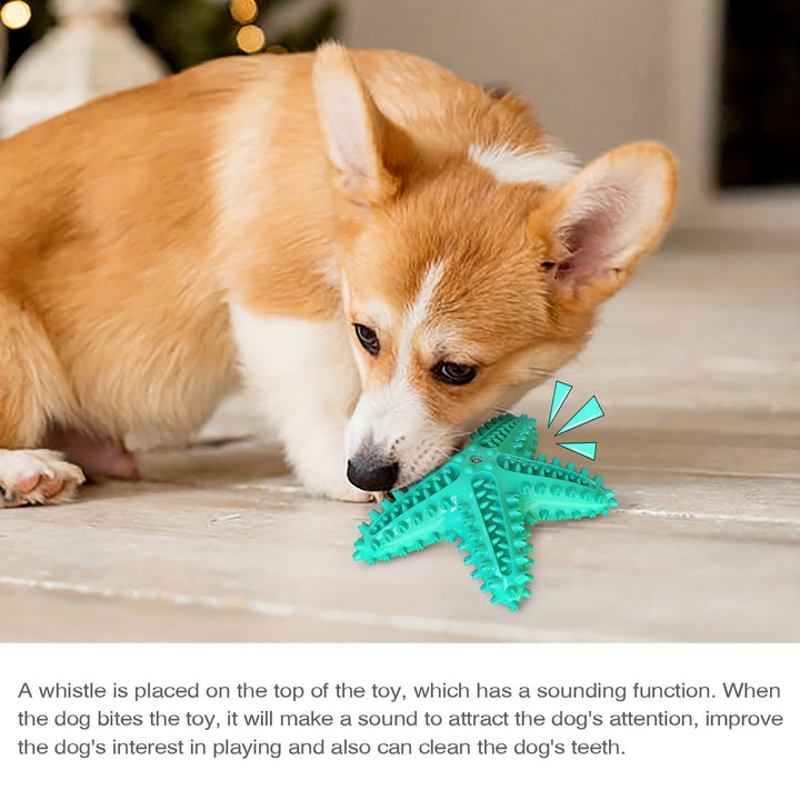 Durable and Interactive Pet Dog Toy-4