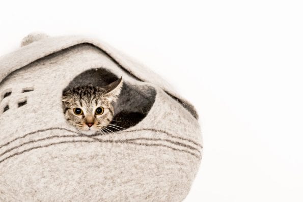 ELF HOUSE CAT CAVE-2