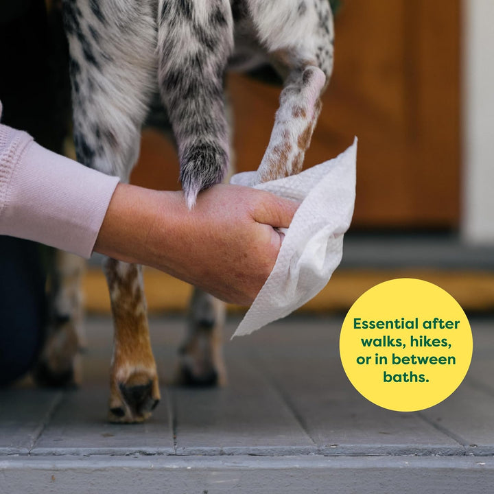Earth Rated Dog Wipes-4