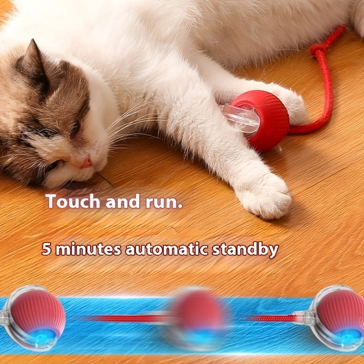 Electric Smart Cat Toy Pet Automatic Teaser Ball-3