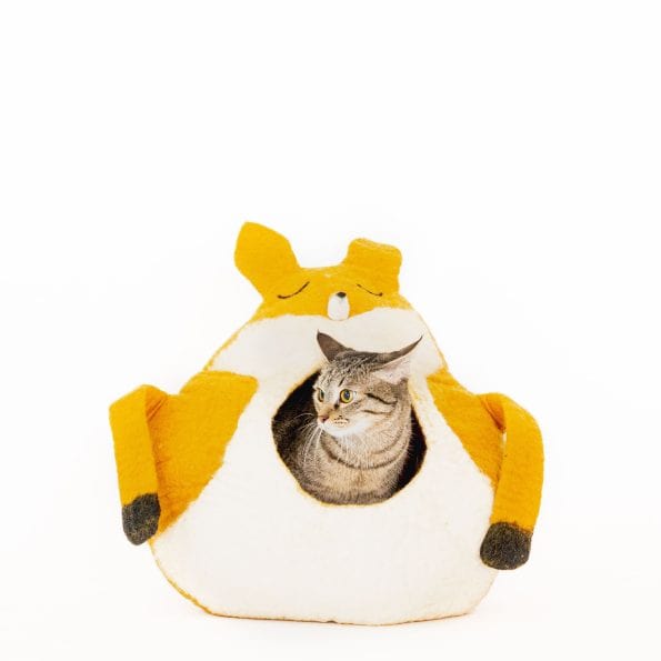 FOXY CAT CAVE-1