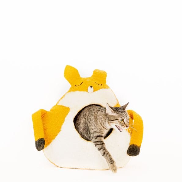 FOXY CAT CAVE-2