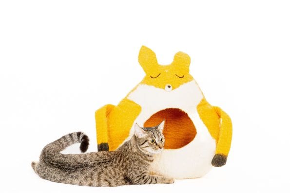 FOXY CAT CAVE-3