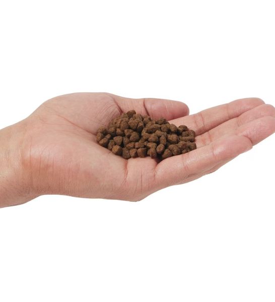 Farmina N&D Chicken & Pomegranate Prime Kitten Dry Food-3