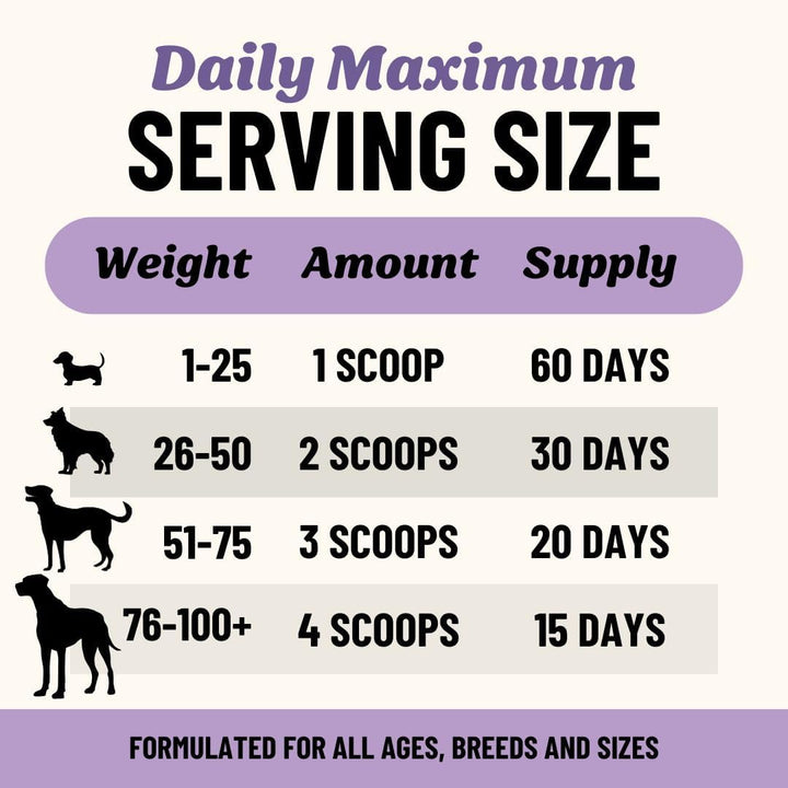 Fido's Grass-Fed Beef Bone Broth -5