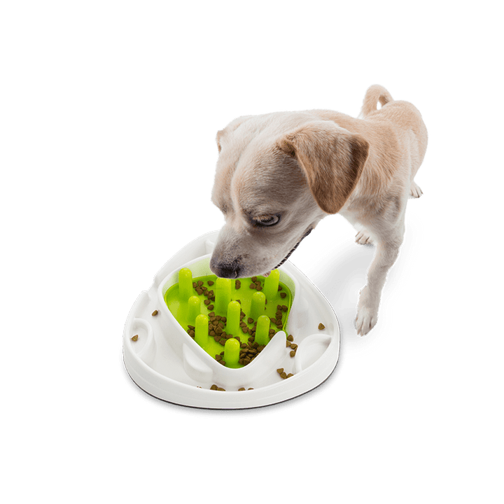 Food Maze-3