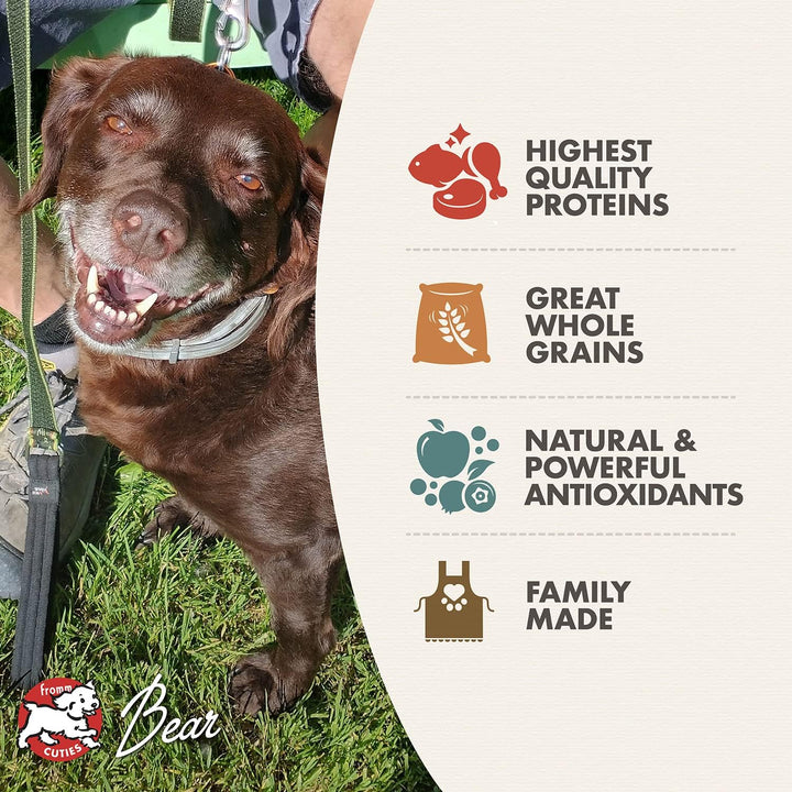 Fromm Classic Adult Premium Dry Dog Food-2