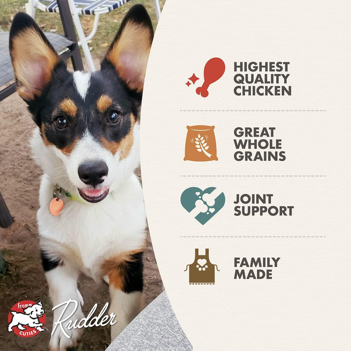 Fromm Classic Premium Dry Puppy Food-2