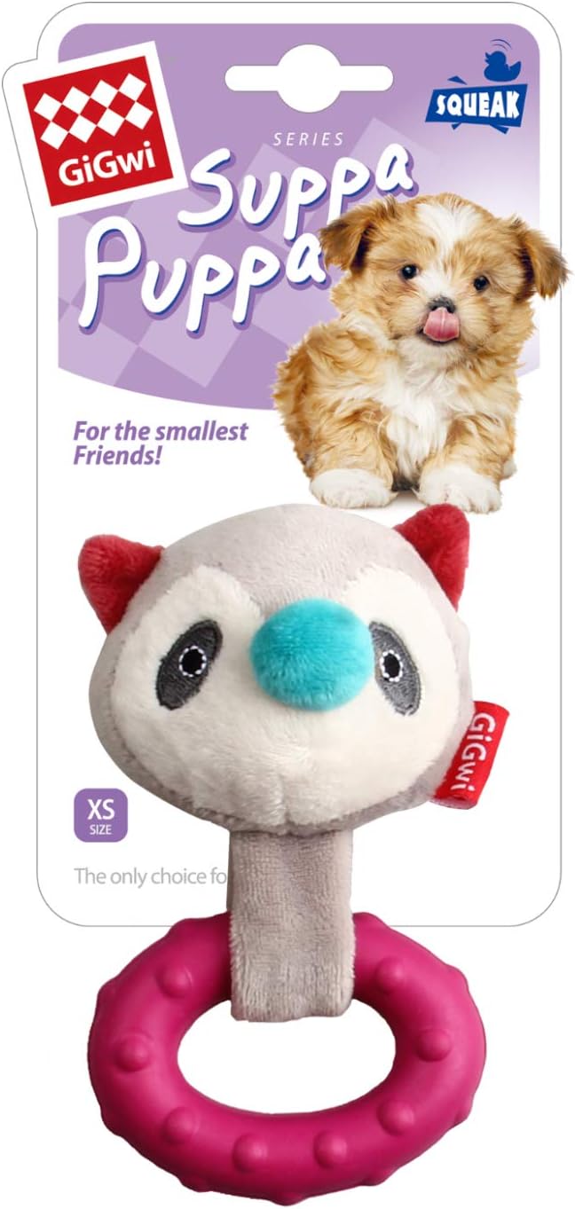 GiGwi Suppa Puppa Coon-1