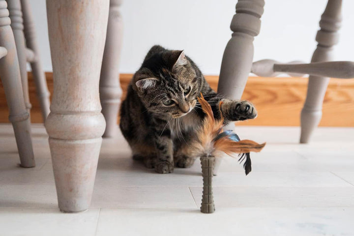 Gigwi Catnip Johnny Stick-2