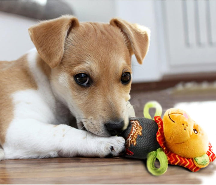  Gigwi Plush Friendz Squeaker Dog Toy-2
