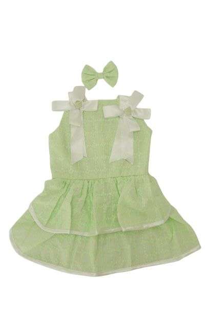 Green Daisy Frock-2