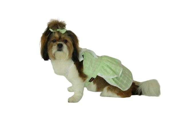 Green Daisy Frock-4