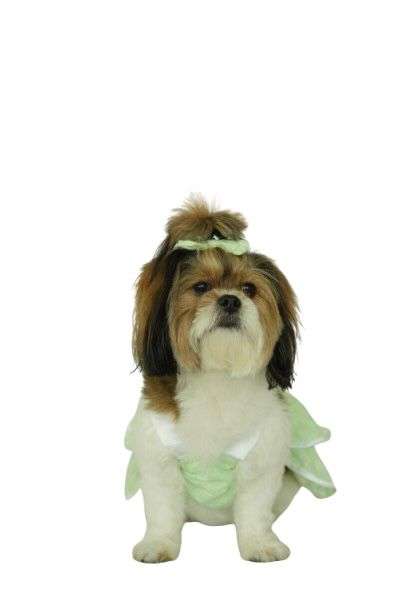 Green Daisy Frock-5