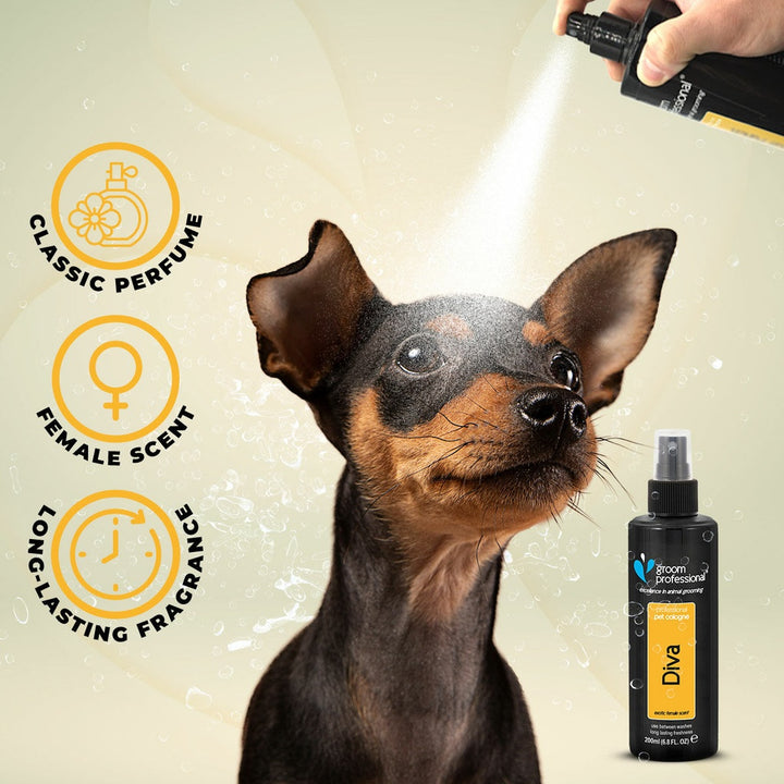 Groom Professional Diva Cologne-2