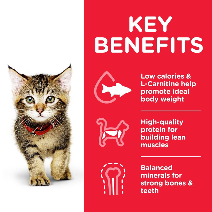 Hill's Science Plan Kitten with Chicken Dry Food Promo Box-2