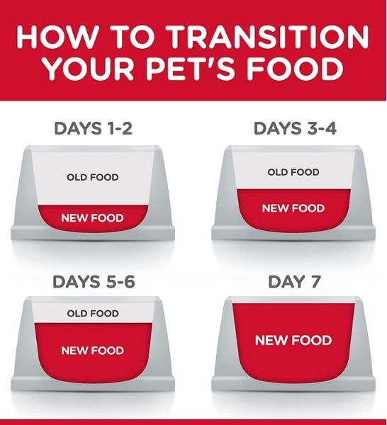 Hill's Science Plan Perfect Digestion Chicken & Brown Rice Cat Dry Food-6