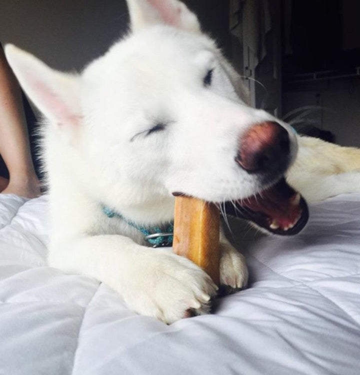 Himalayan Chews-5