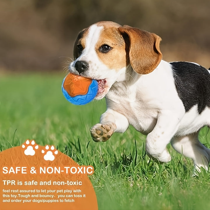 Interactive Squeaky Dog Toy for Pool & Beach Play-2