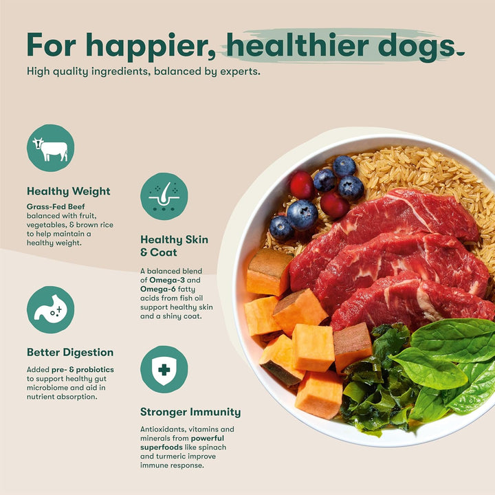 Jinx Premium Dry Dog Food-Real Beef-4