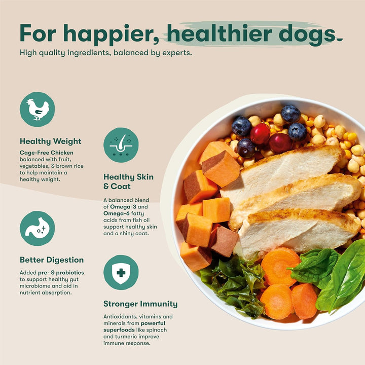 Jinx Premium Grain-Free Dry Dog Food-4