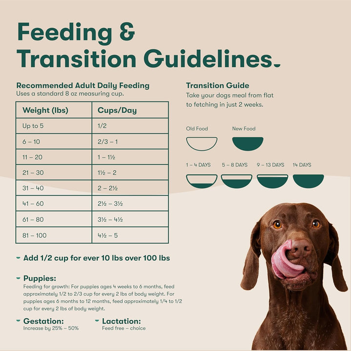 Jinx Premium Grain-Free Dry Dog Food-5