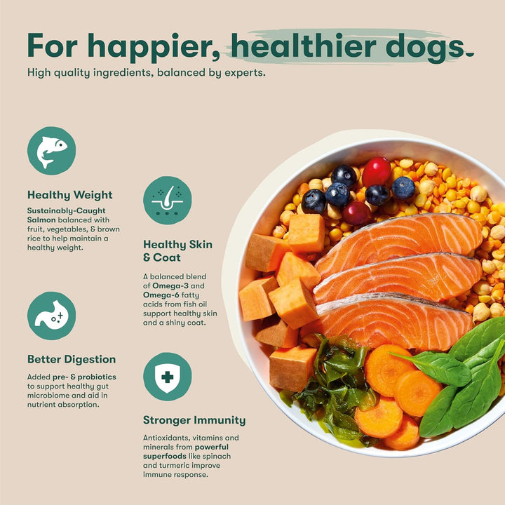 Jinx Premium Grain-Free Dry Dog Food-Real Salmon-4