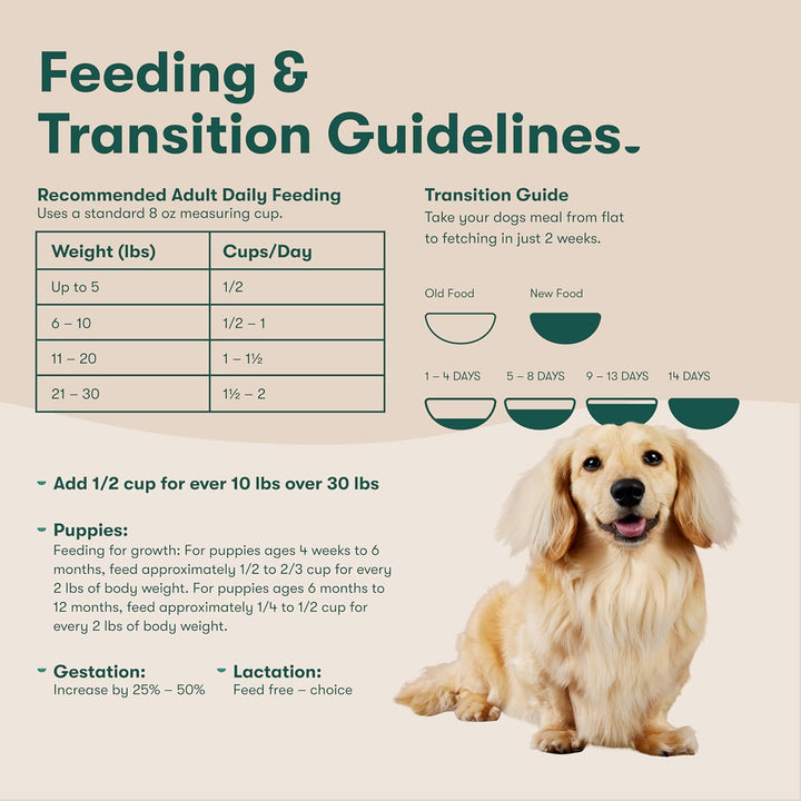 Jinx Premium Grain-Free Dry Dog Food-Real Salmon-6