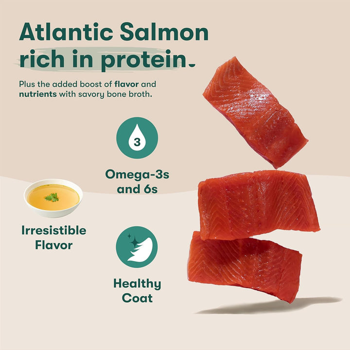Jinx Salmon Grain Free Wet Dog Food Toppers-3