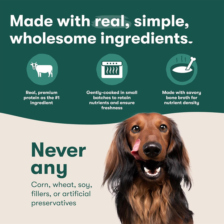 Jinx Salmon Grain Free Wet Dog Food Toppers-5