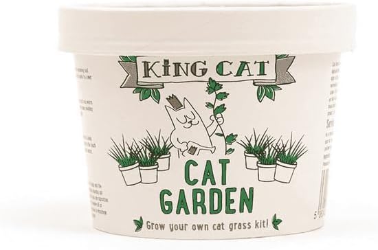King Catnip Cat Garden Cat Grass-1