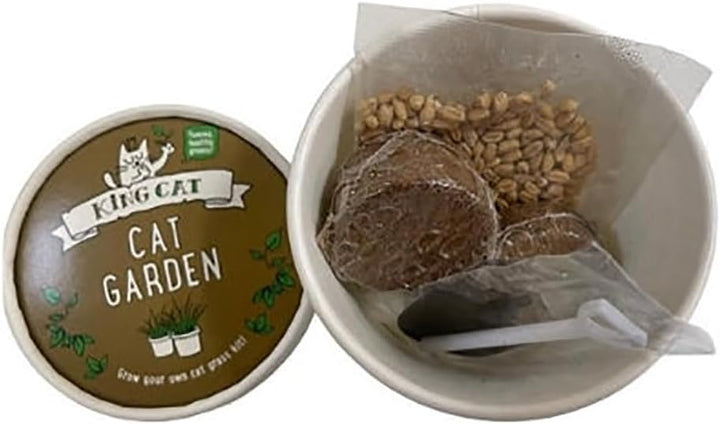 King Catnip Cat Garden Cat Grass-3