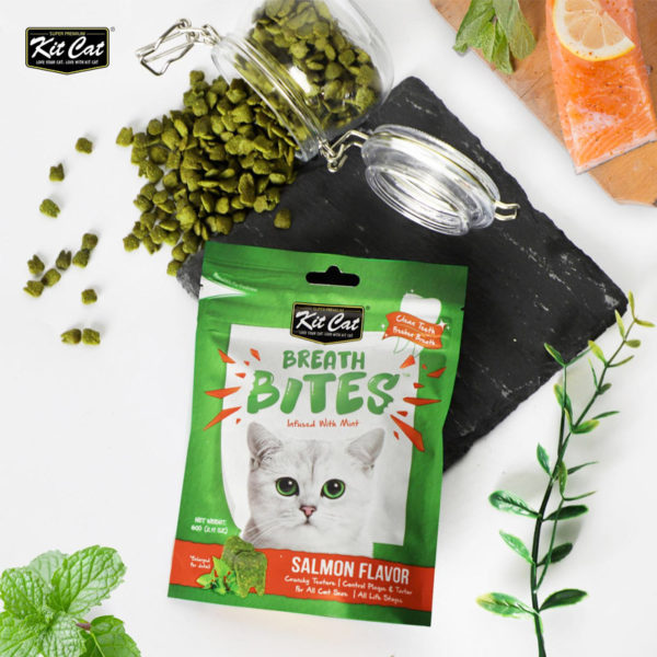 Kit Cat Breath Bites Salmon Flavour Cat Treats 60G-2