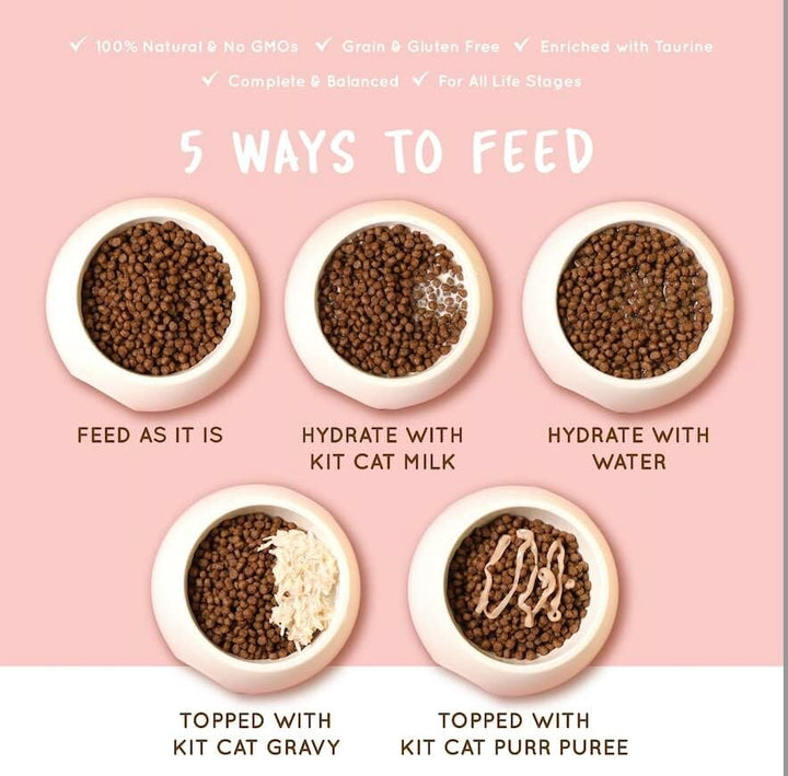 Kit Cat No Grain Kitten Recipe Super Premium Dry Food-2