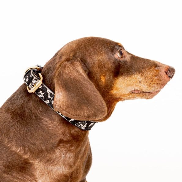 LACE LEATHER COLLAR-4