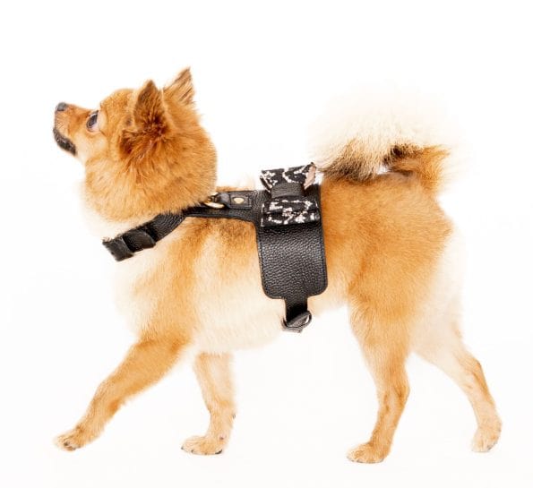 LACE LEATHER HARNESS-3