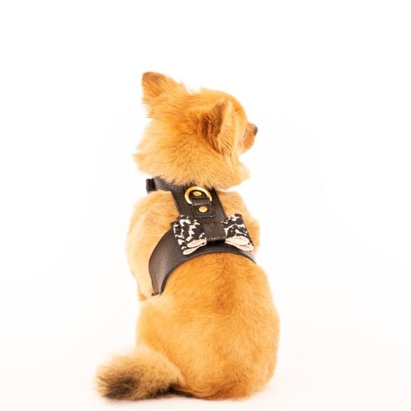 LACE LEATHER HARNESS-4