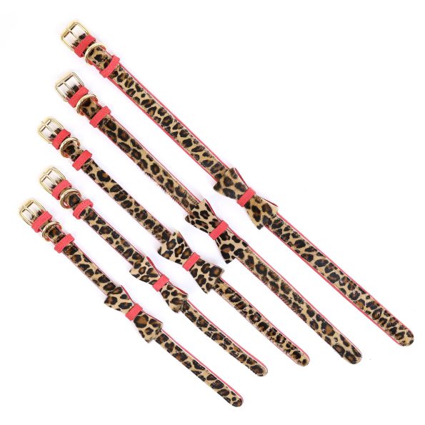 LEO LEATHER COLLAR-9