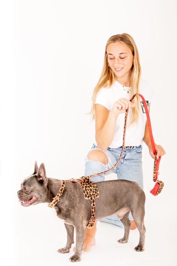 LEO LEATHER HARNESS-11