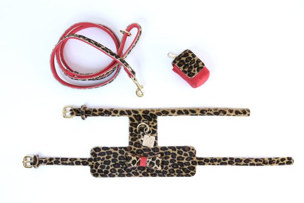 LEO LEATHER HARNESS-2